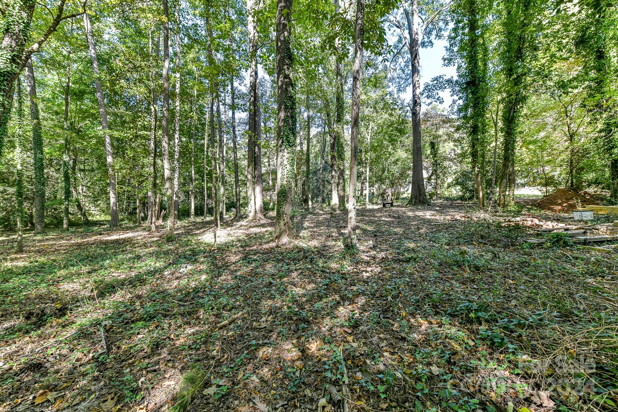 Cabin Creek - Residential