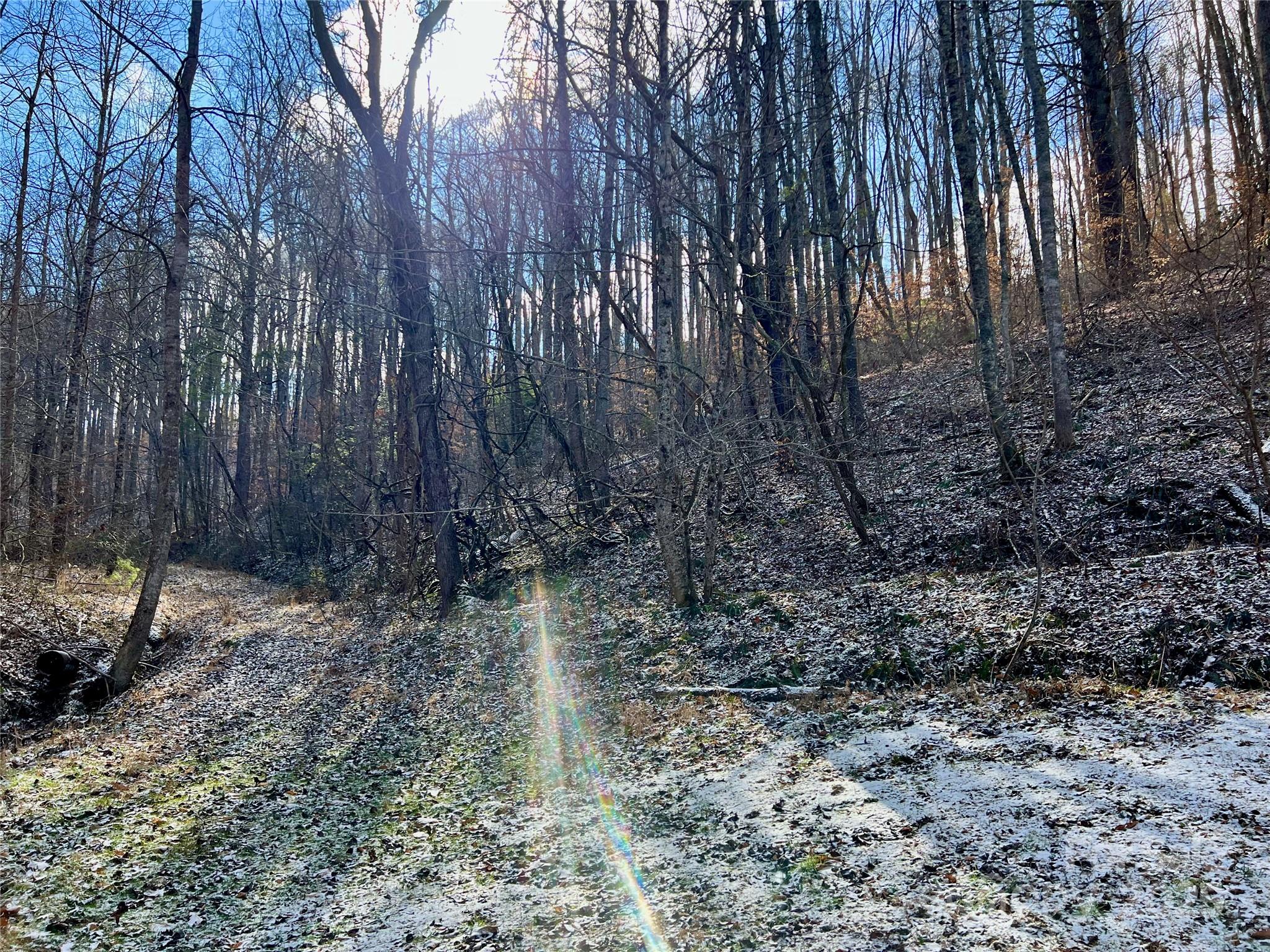 1927 Ammons Branch Road