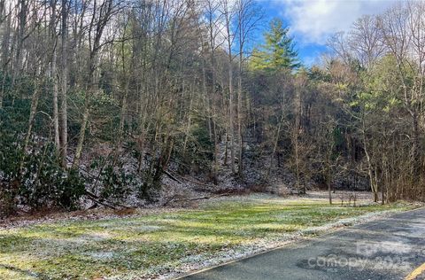 1927 Ammons Branch Road Marshall NC 28753