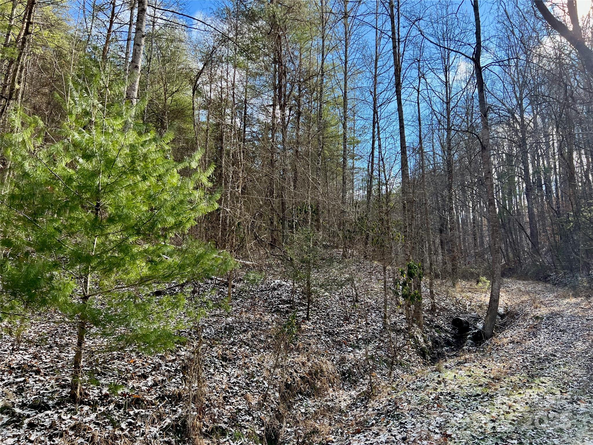 1927 Ammons Branch Road
