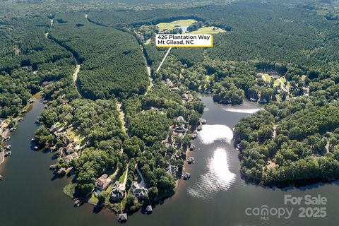 Photo of 426 Plantation Way, Mount Gilead, NC 27306 (MLS # 4295726)
