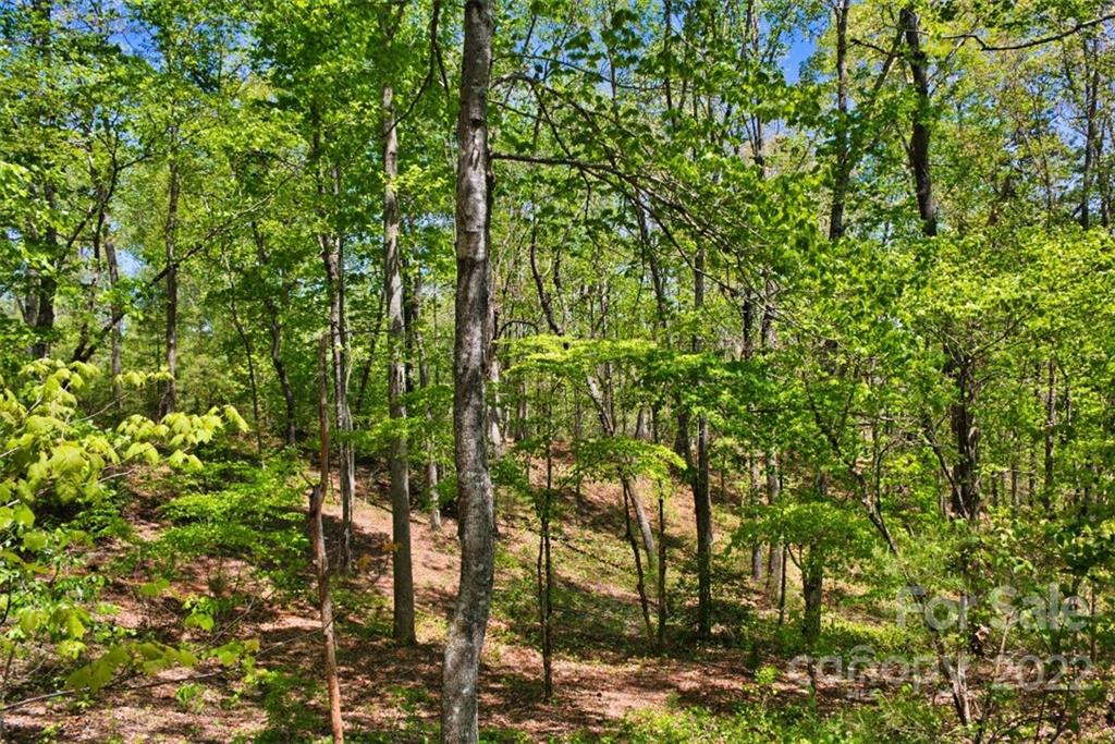 0 Hearthstone Drive 73