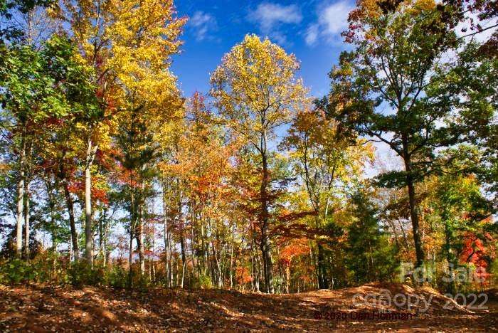 Hearthstone Ridge - Land