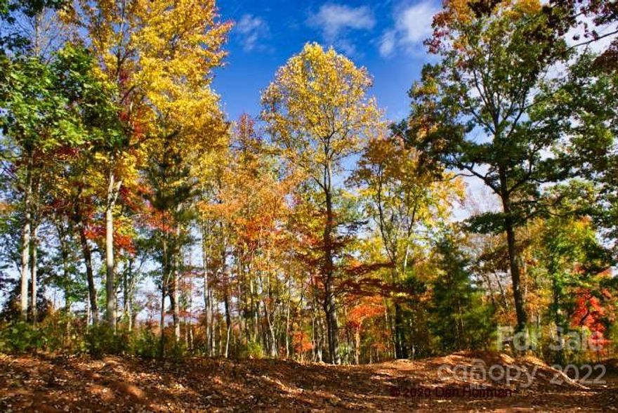 A private, estate-sized parcel, this property is a gorgeous example of western NC beauty. The land rolls and undulates while still offering plenty of room for your home site, no matter what your plans are. There's little undergrowth because of the massive hardwood canopy.
(You'll have plenty of shade during the warm summer months, and after the vibrant autumn leaves fall, you'll have sunlight streaming in all winter long.)
This wooded parcel is located in gated Hearthstone Ridge, and features a near-level driveway already in place, leading to an excellent potential home site. The property backs up to an 80-acre parcel of land outside the community that is land-locked, making this paradise so much more private! We hope you don't mind deer, because this is one of their favorite spaces to travel through, judging by the abundance of tracks.