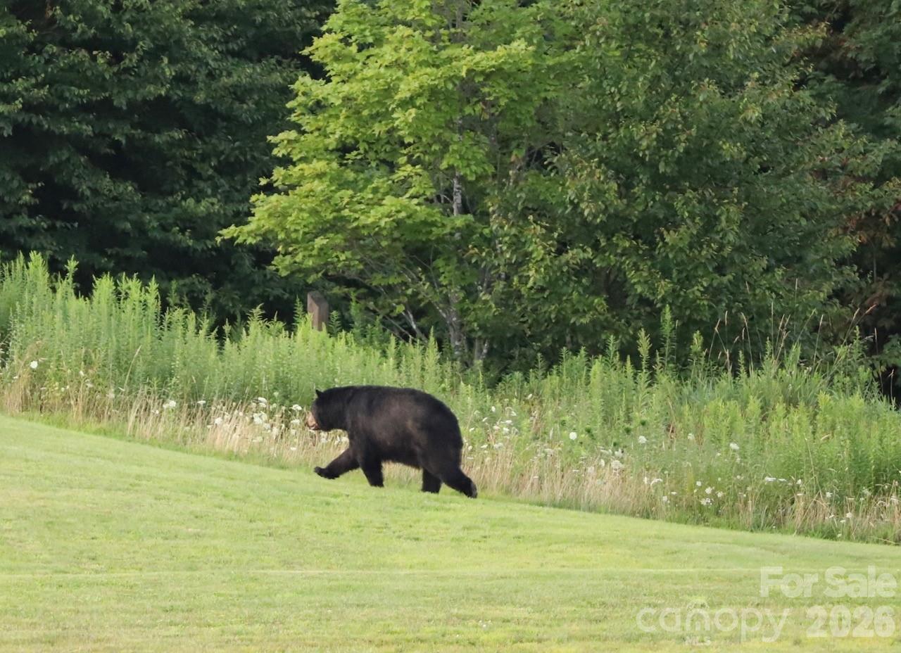 Pinnacle Inn - Residential