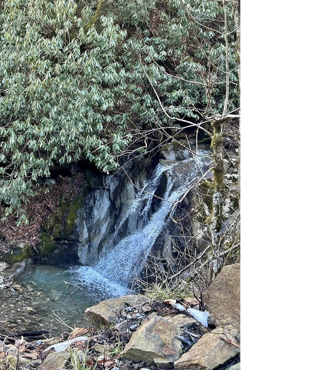 Hornbuckle Parkway Section - Land