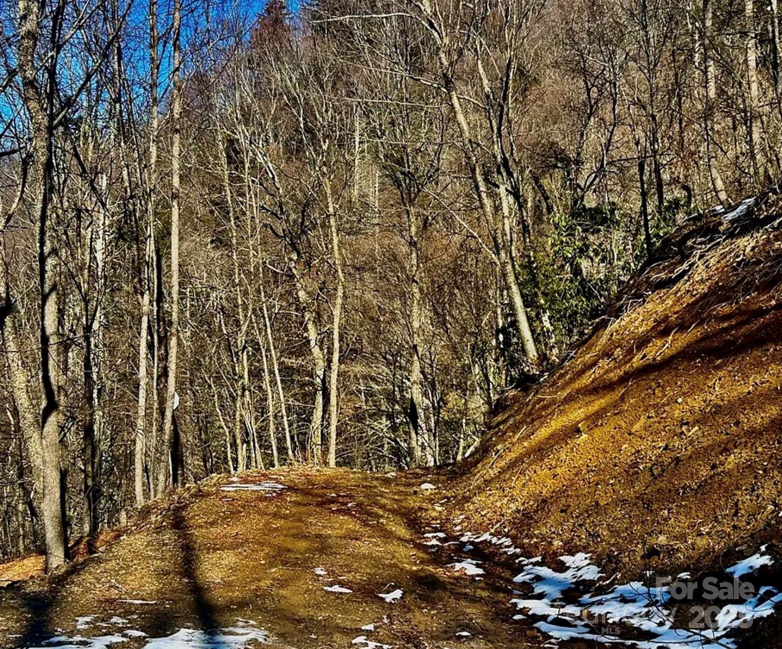 Hornbuckle Parkway Section - Land