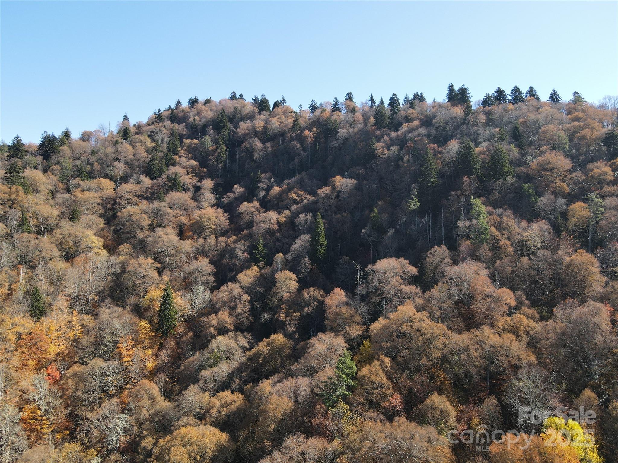 Hornbuckle Parkway Section - Land