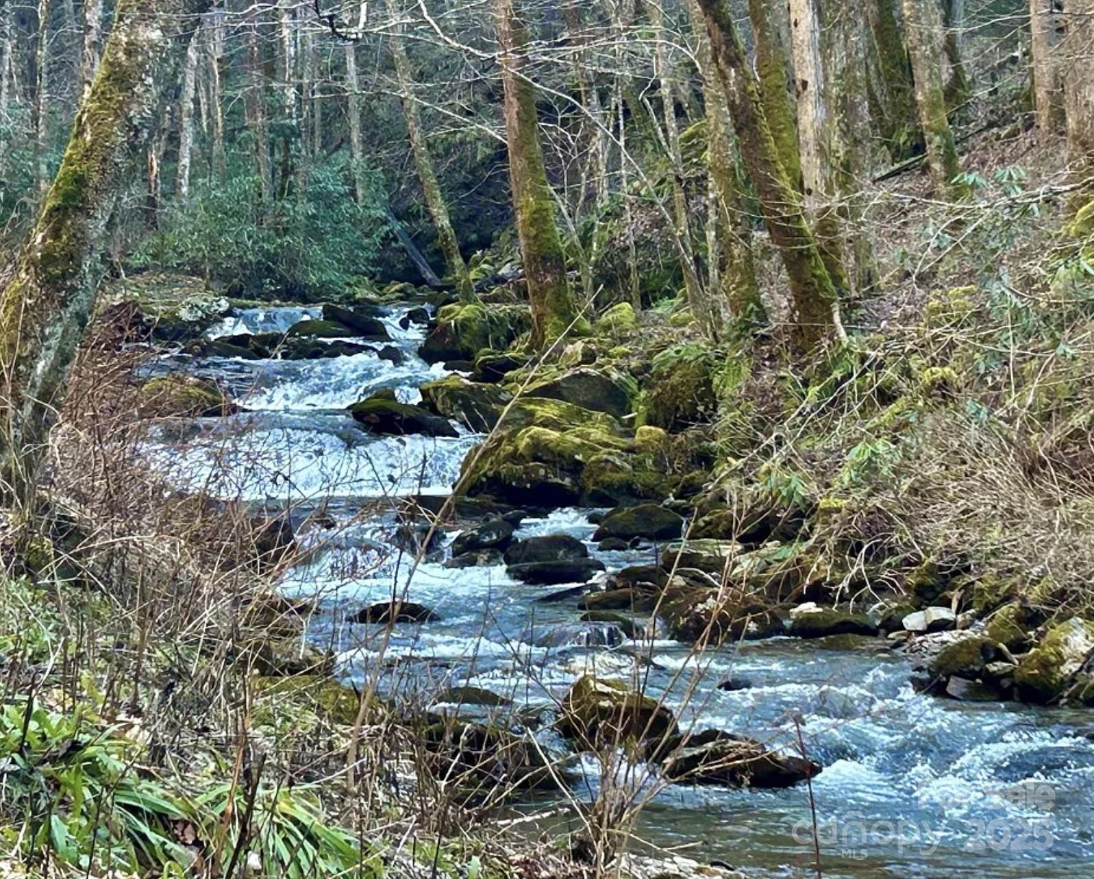 Hornbuckle Parkway Section - Land