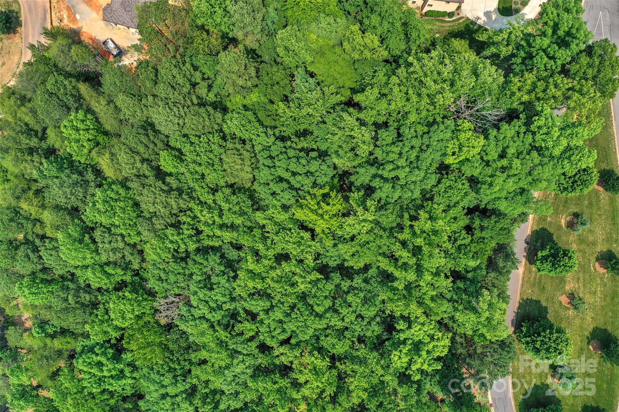 Reflection Pointe - Land