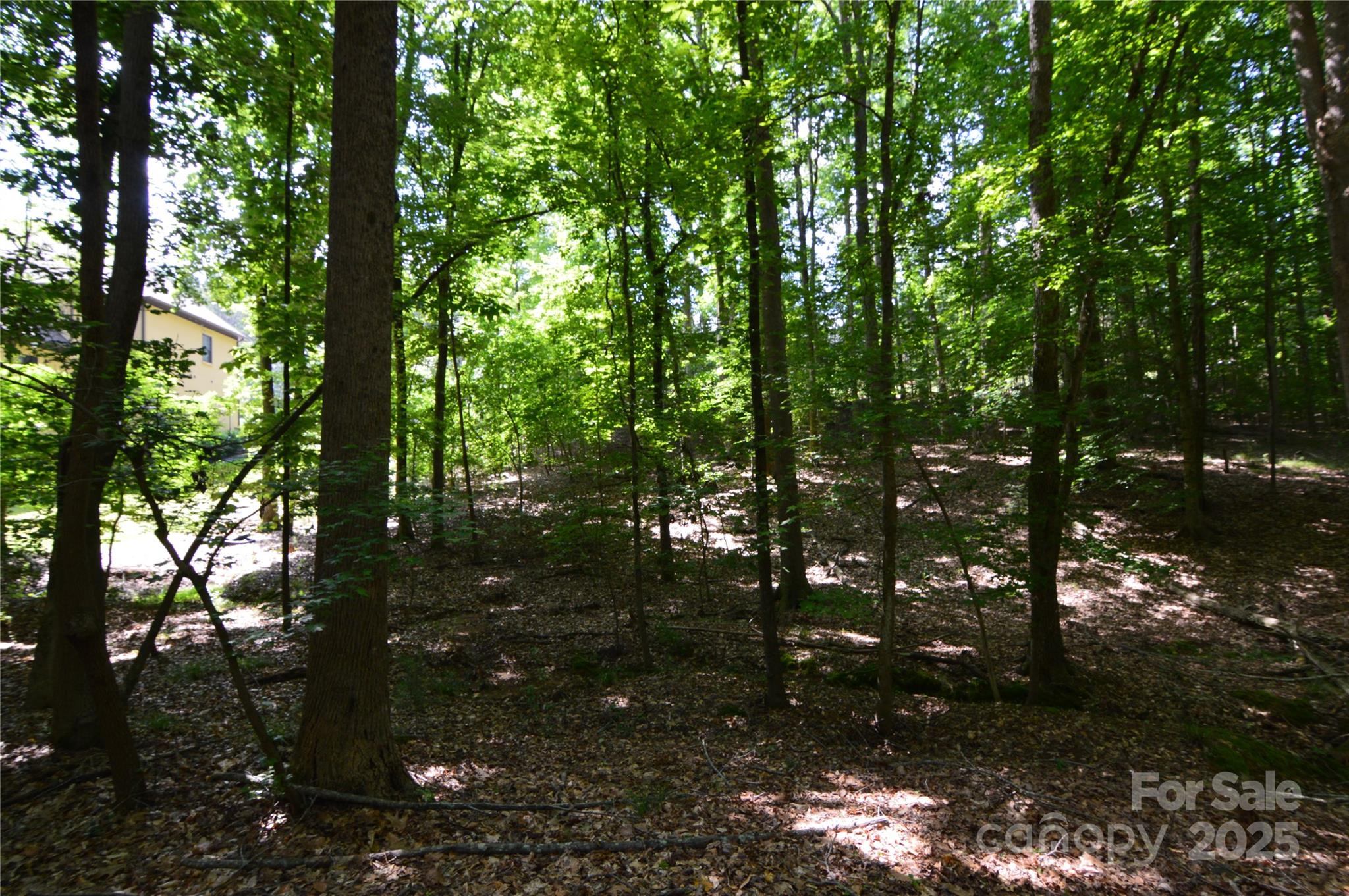 Reflection Pointe - Land