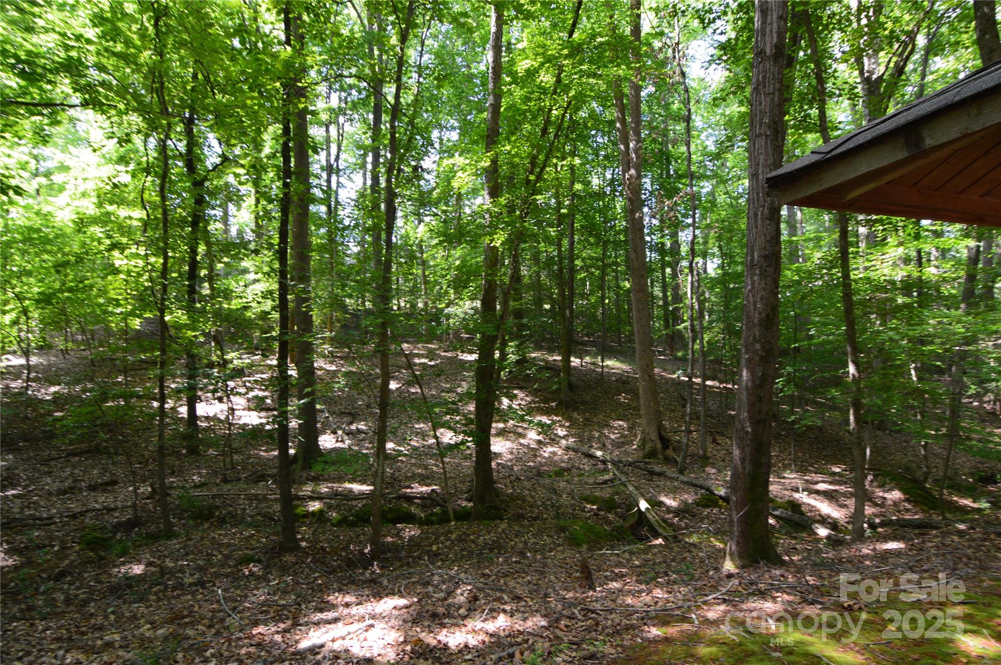 Reflection Pointe - Land