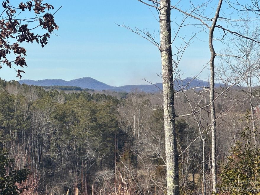 17.6 UNRESTRICTED ACRES with level building sites, mountain views, privacy and paved Highway frontage on Andrews Mill Road.........just 2 miles from Washburn General Store in Bostic. Only 12 minutes to Rutherfordton & Forest City. Estate Sale.......only $115,000.