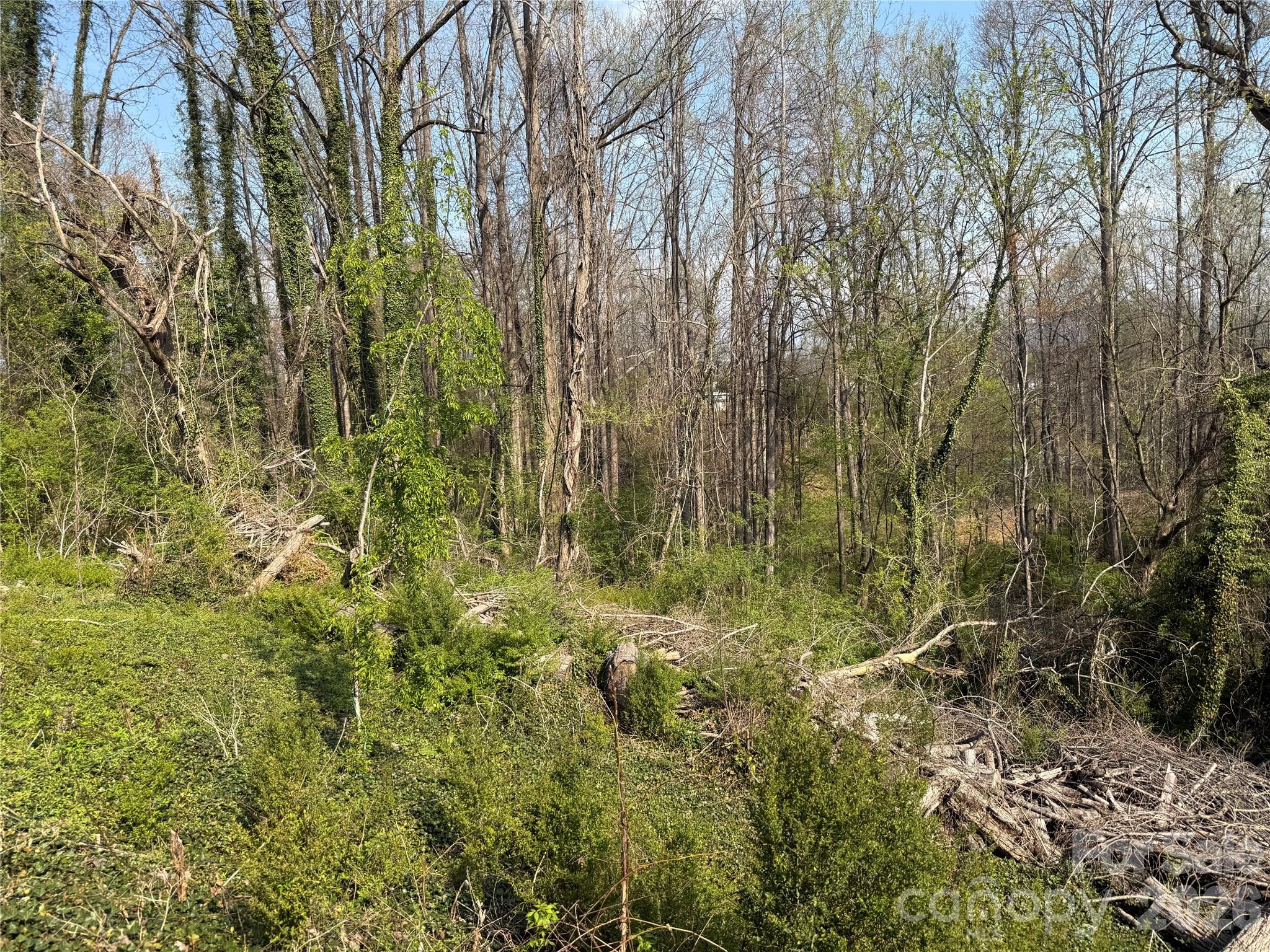 Forest Park - Residential