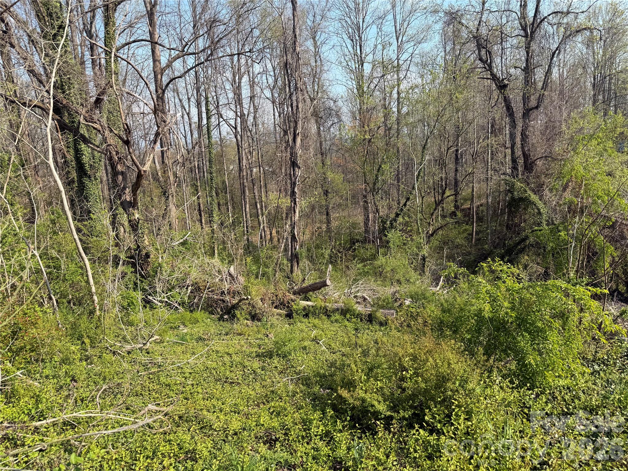 Forest Park - Residential