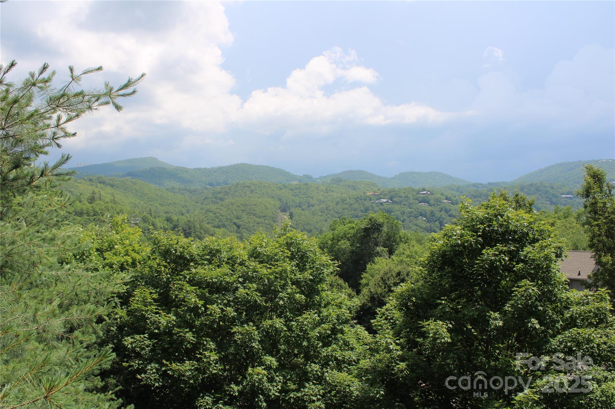 372 Silver Springs Drive 20