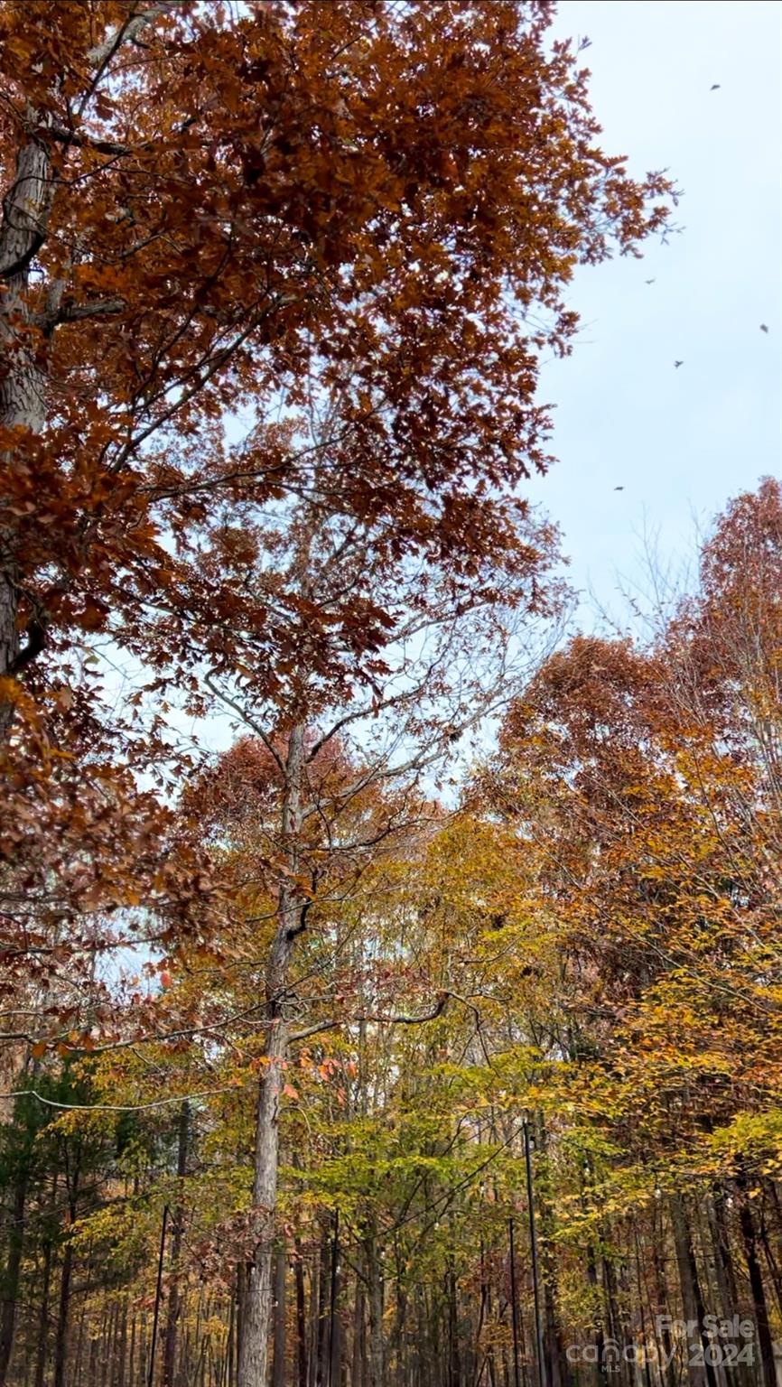 Providence Road Estates - Residential