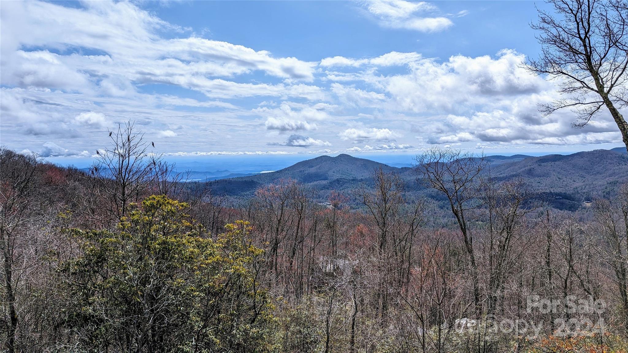 18 White Tail Drive