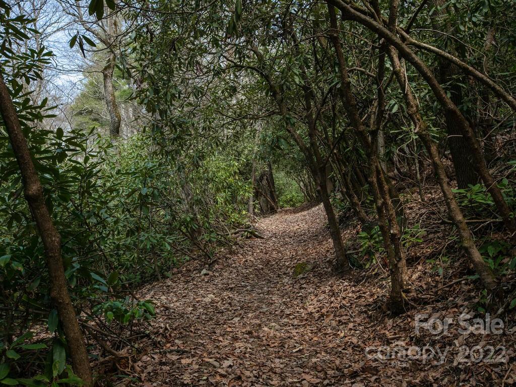 Couch Mountain - Land