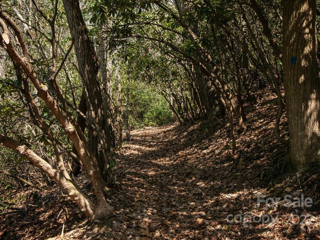 Couch Mountain - Land