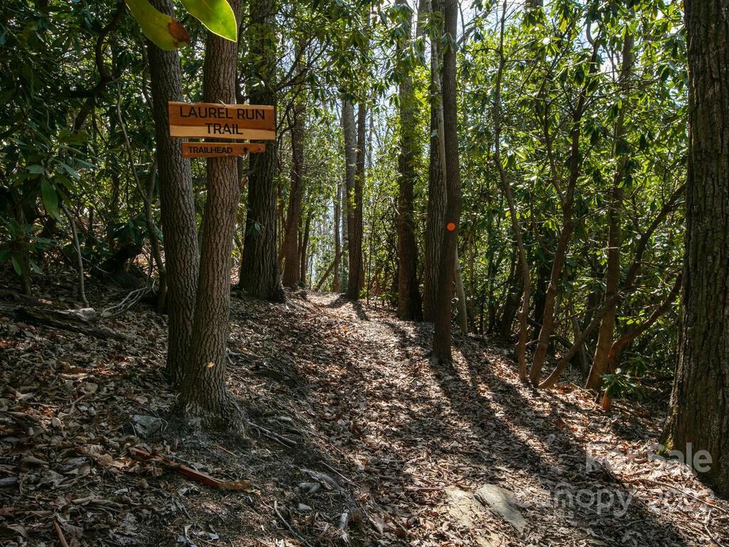 Couch Mountain - Land