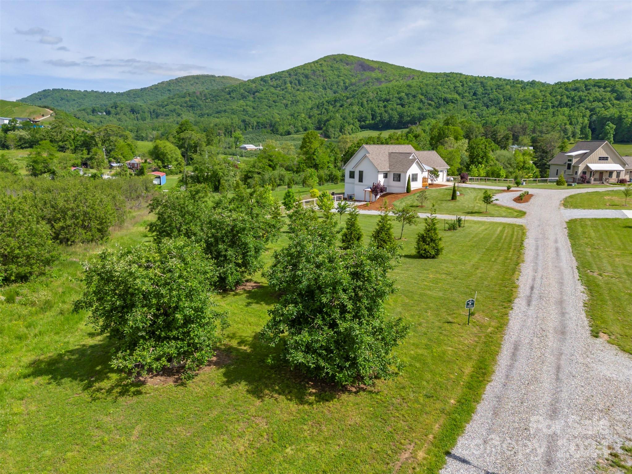 Lucky Dog Lane Estates - Residential