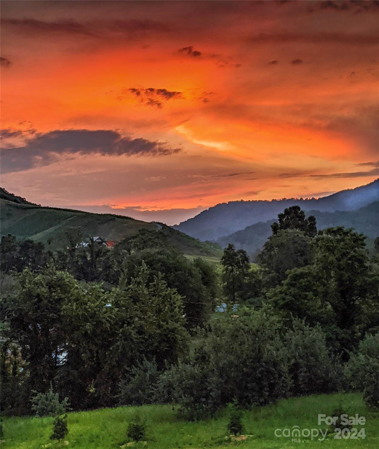 Lucky Dog Lane Estates - Residential