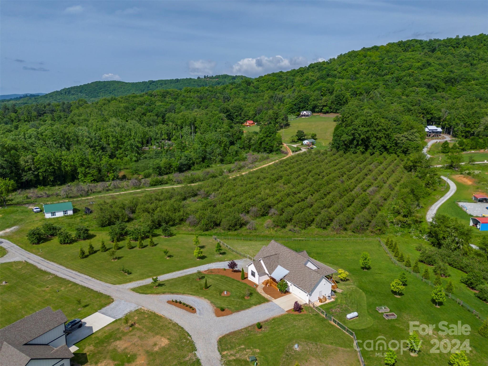 Lucky Dog Lane Estates - Residential