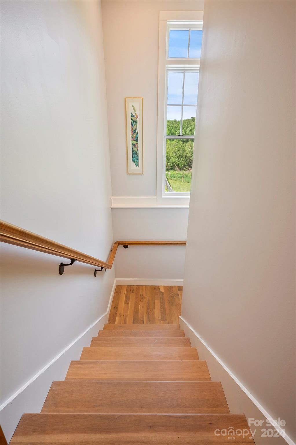 Lucky Dog Lane Estates - Residential