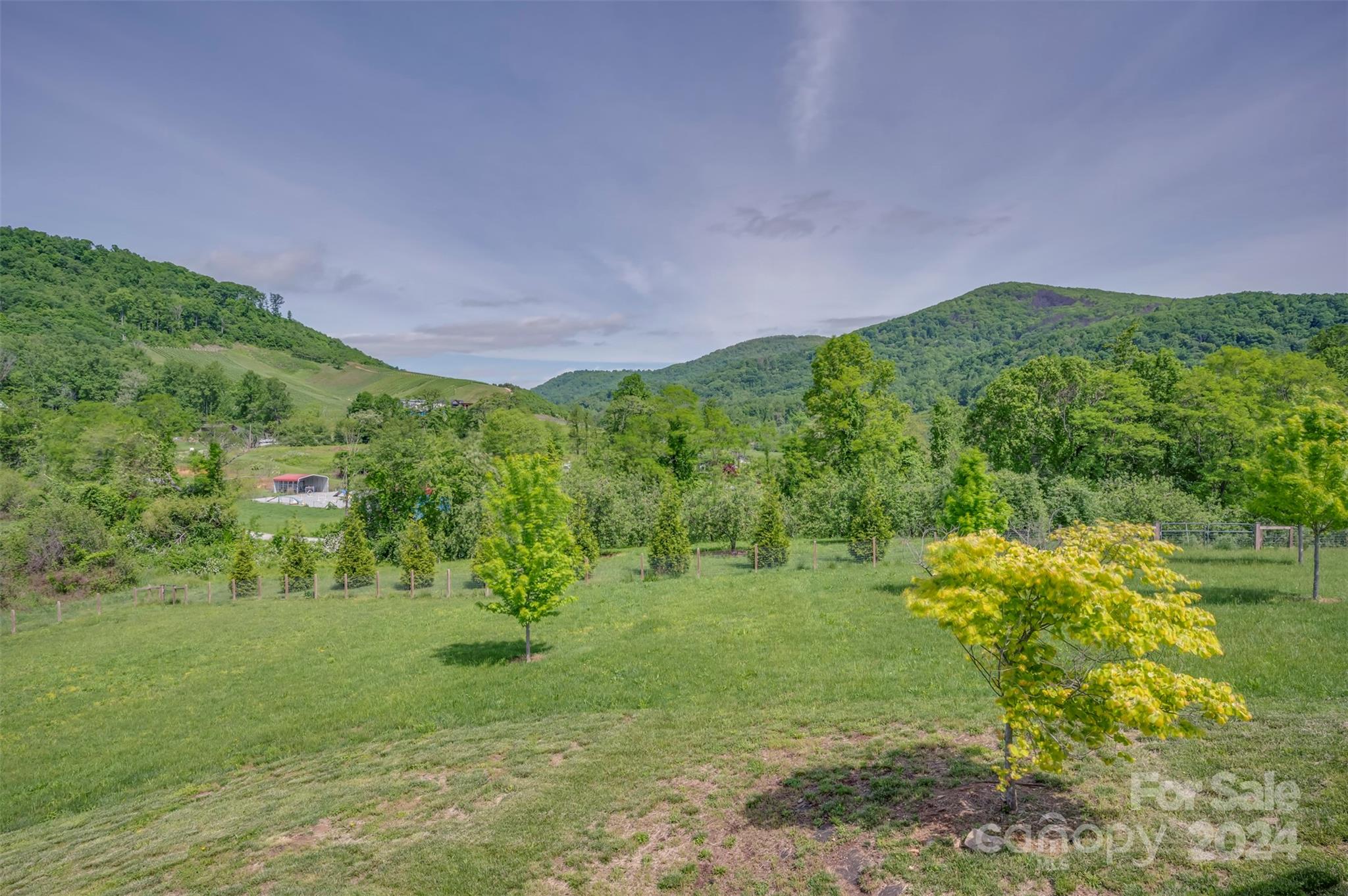 Lucky Dog Lane Estates - Residential