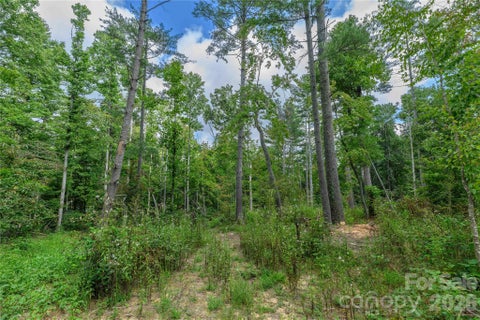 Photo of 9999 Old Concord Road #3, Fletcher, NC 28732 (MLS # 4426502)