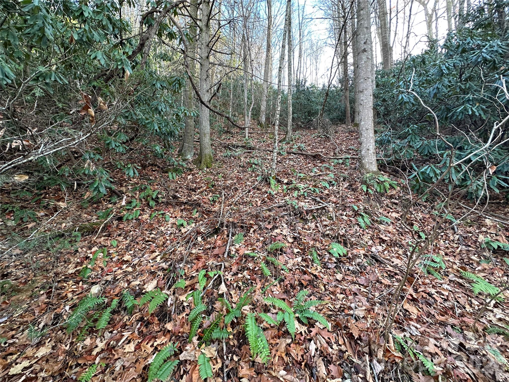 Rock House Cove - Land