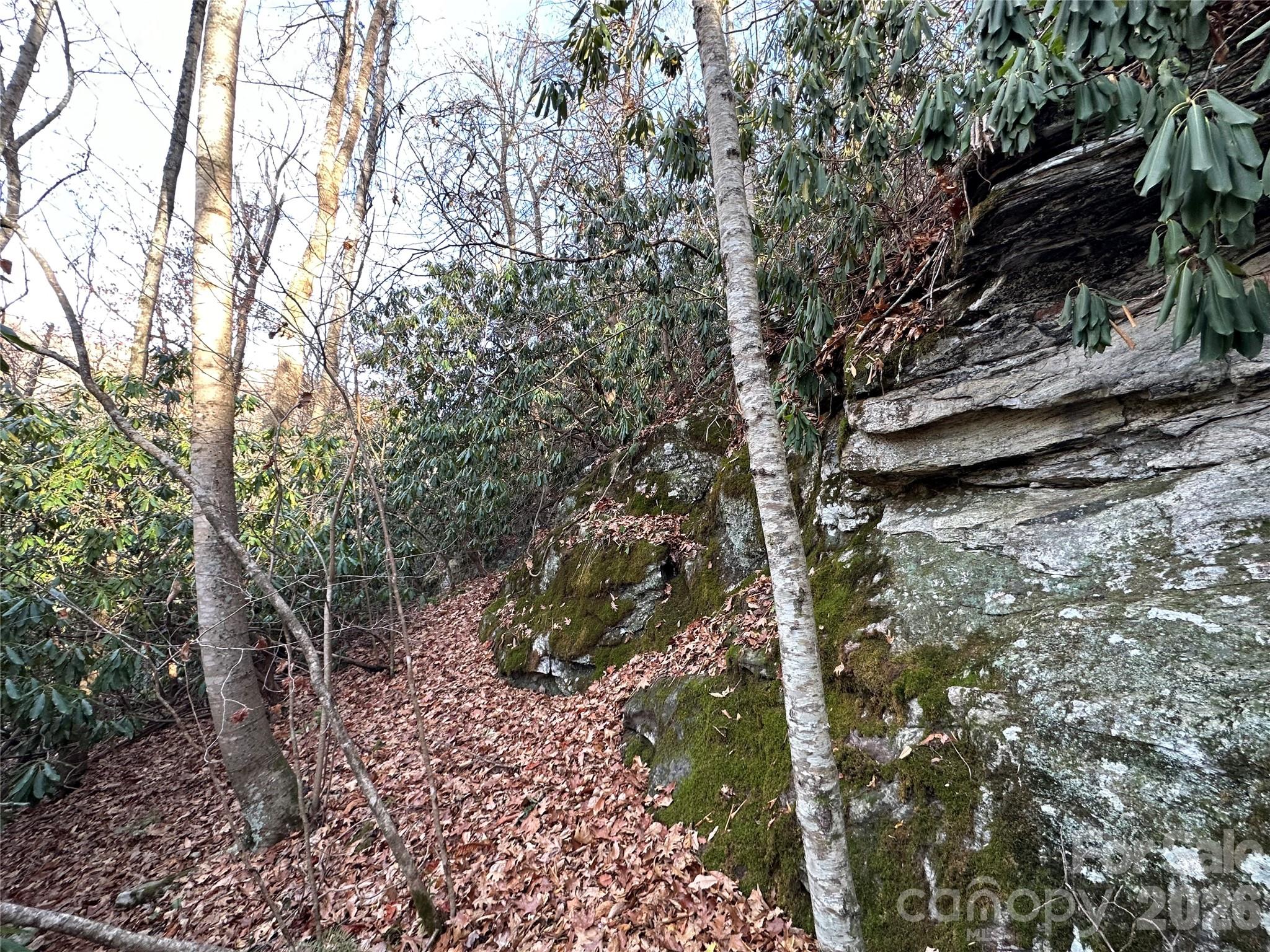 Rock House Cove - Land