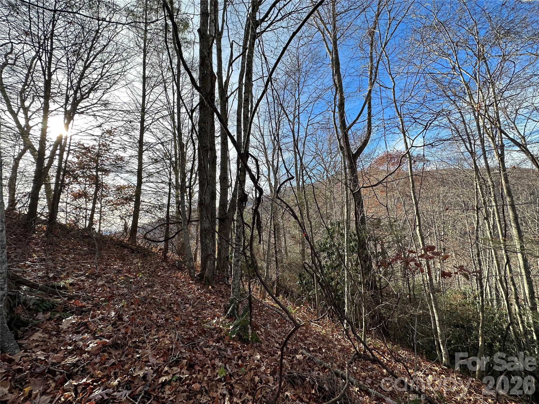 00 Rock House Cove Road 2