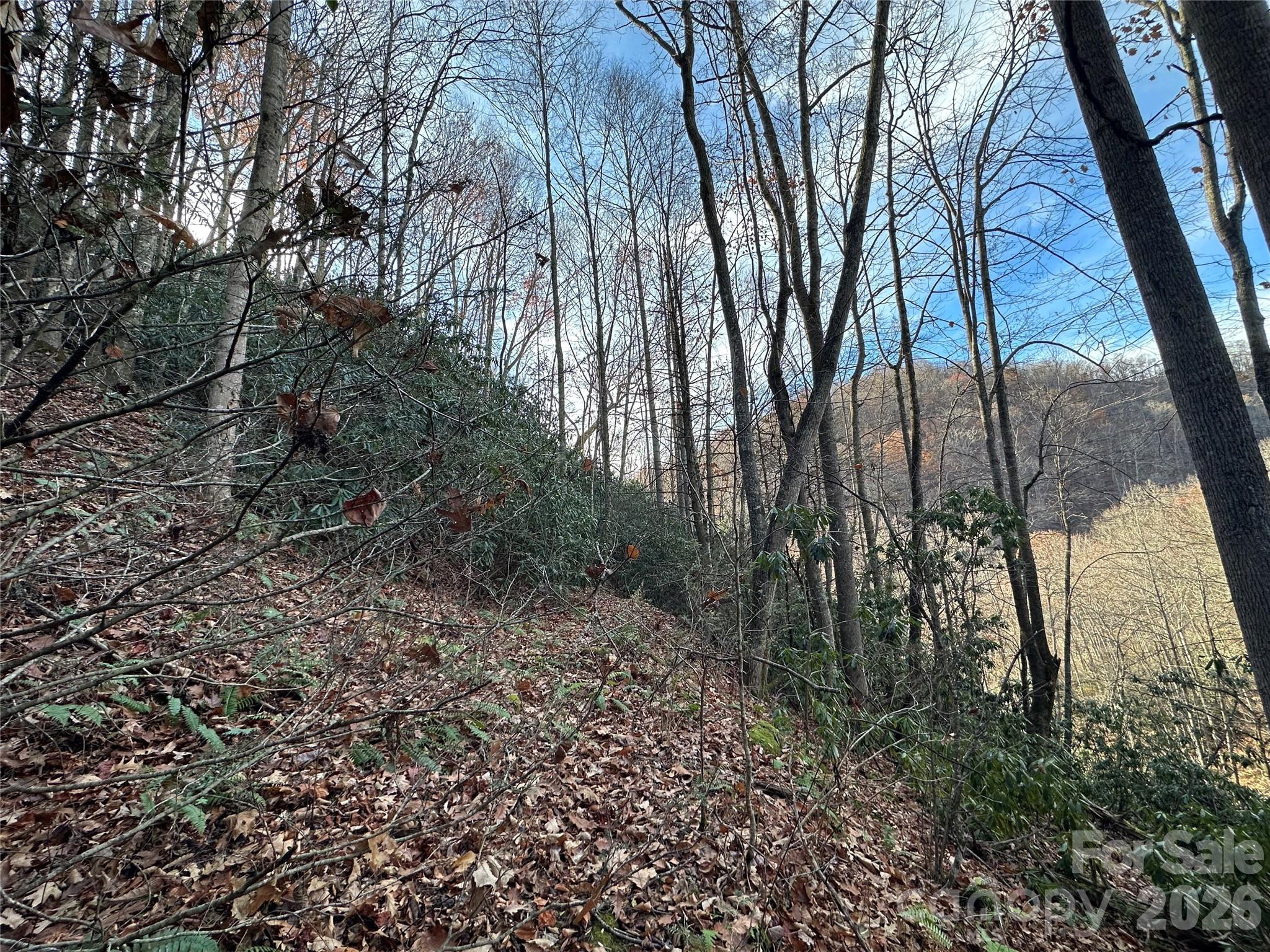 00 Rock House Cove Road 2