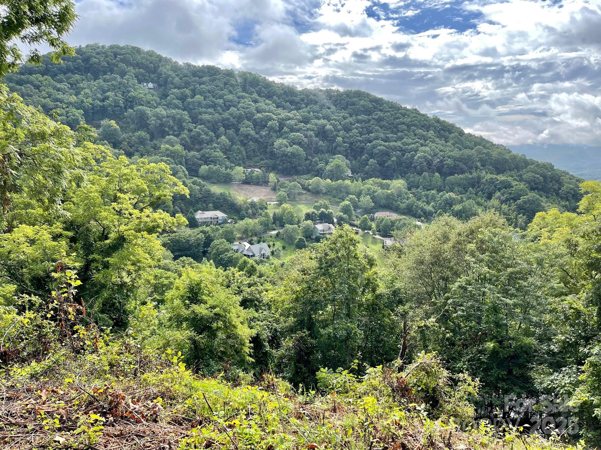 Junaluska Highlands - Land