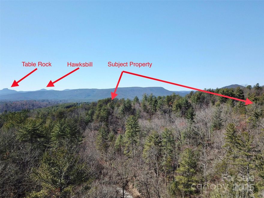 Unrestricted Land - Lenoir NC - Caldwell County - 26+/- acres near Wilson Creek.  Great views available with minor clearing.  Several amazing homesites with both walkable or ATV/UTV drivable Trail leading into the land.  Abundant wildlife and endless possibilities.  Buried Fiber Optic on opposite side of State Maintained Gravel Road. Enjoy camping, riding, shooting, hunting or peace and quiet - better yet - all of the above on this unrestricted mountain parcel.  Located less than 10 minutes to the wonderful Wilson Creek area - a favorite area for Trout fisherman, kayakers, four-wheelers, and hikers.  Located just past the end of the pavement on Playmore Beach Rd on a state maintained gravel road.  Bring you maps and your walking shoes and come see this premier land offering as quickly as possible.  Address is approximate - no physical address yet assigned to tract.