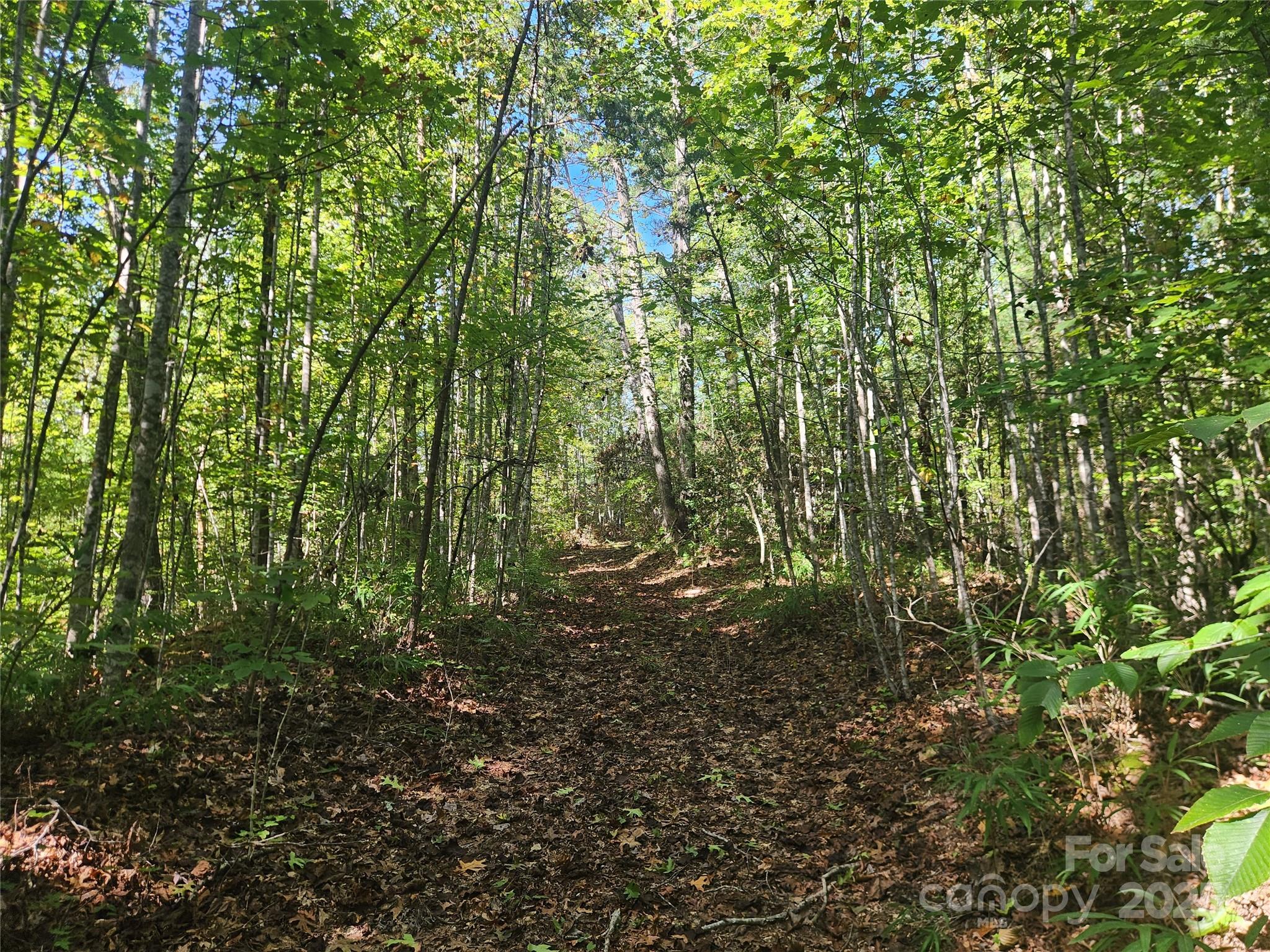 2500 Playmore Beach Road