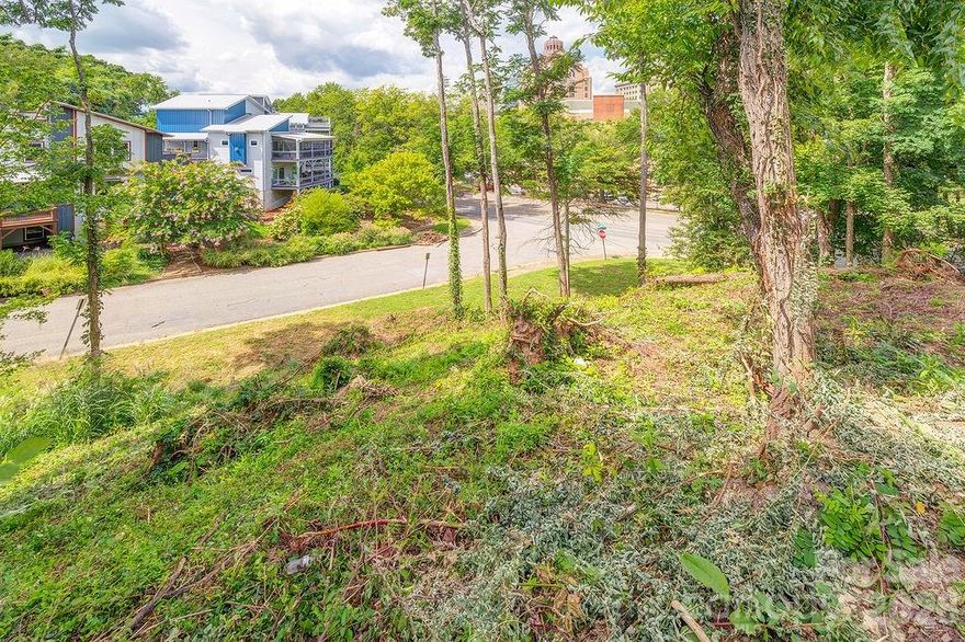 Welcome to 99999 Hazzard Street! A truly unique development opportunity in the heart of Asheville — in a designated Opportunity Zone! A beautiful infill lot awaits. This lot boasts beautiful city views, gentle slope perfect for a basement foundation, RM8 Zoning, and is within direct sight line of the beautiful Asheville City Plaza - right in the mix of the South Slope Corridor, but down a quiet one lane historic character-filled city street with city water and sewer available! Surrounded by eclectic new builds of all different styles. Come visit lot #17 today and ponder the possibilities!