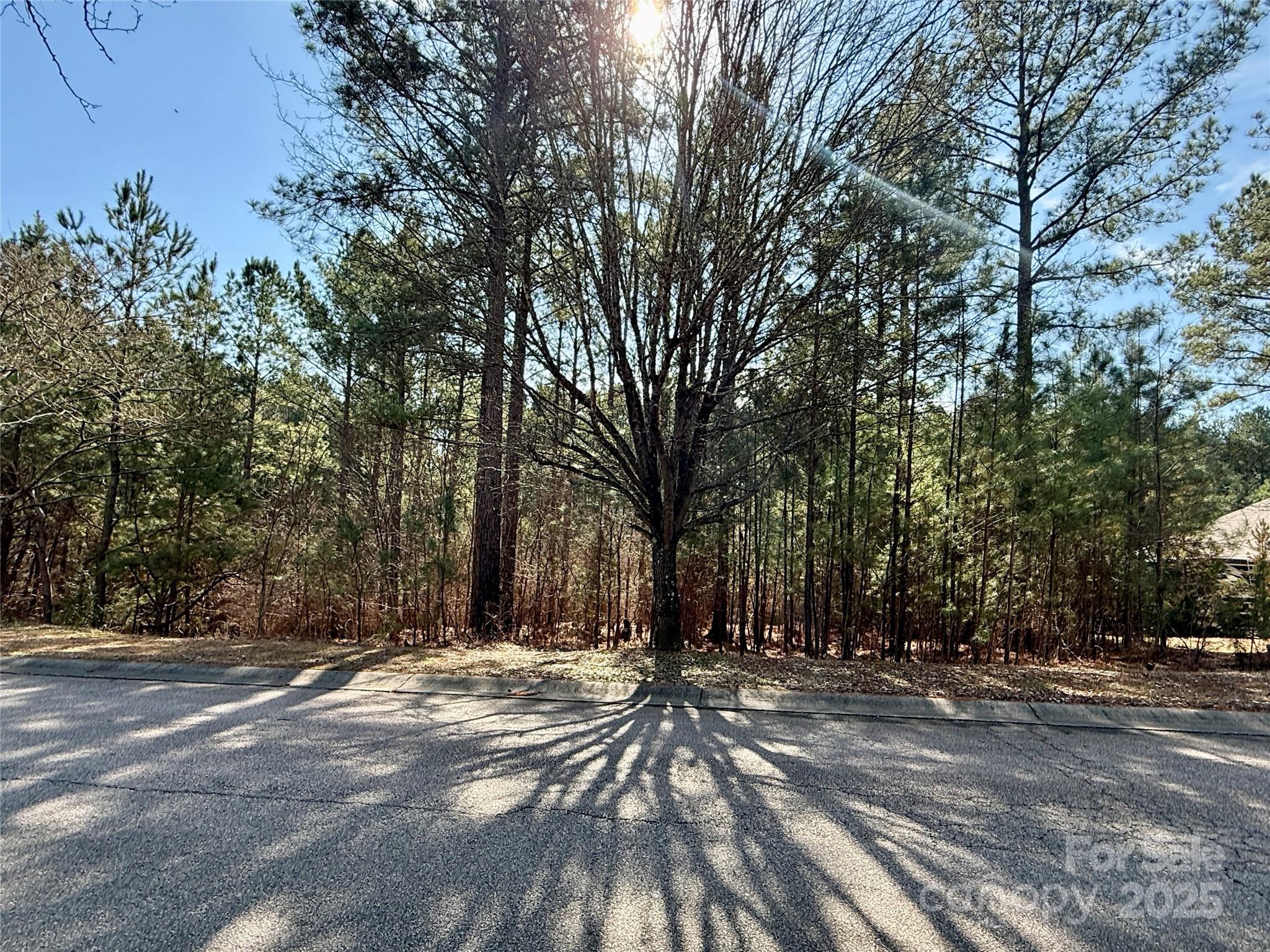 Estates at Windswept Cove - Land