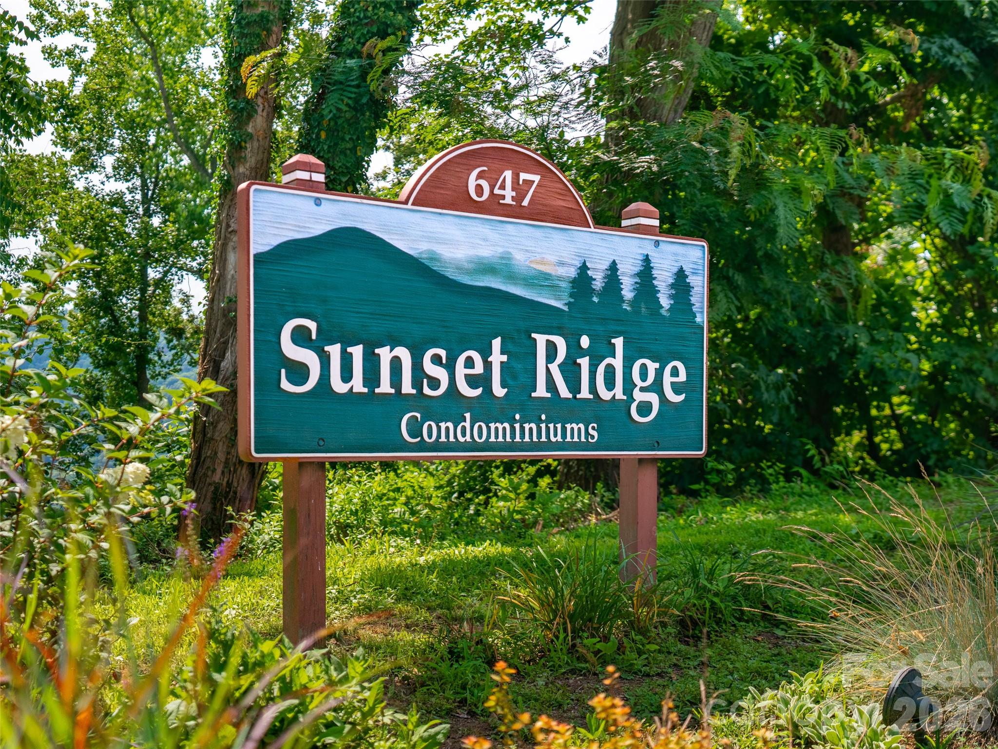 647 Town Mountain Road 309