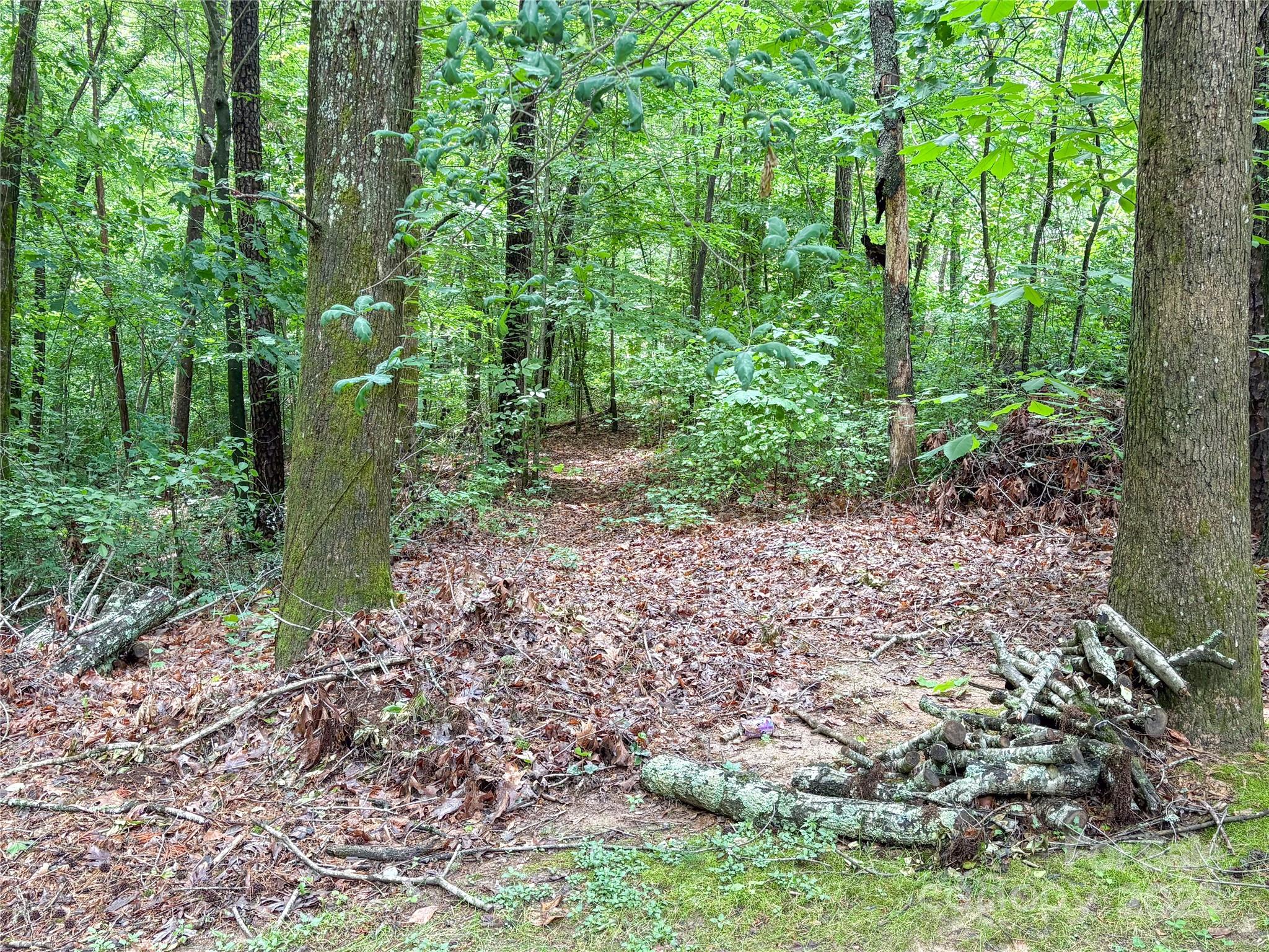 Shannon Acres - Land