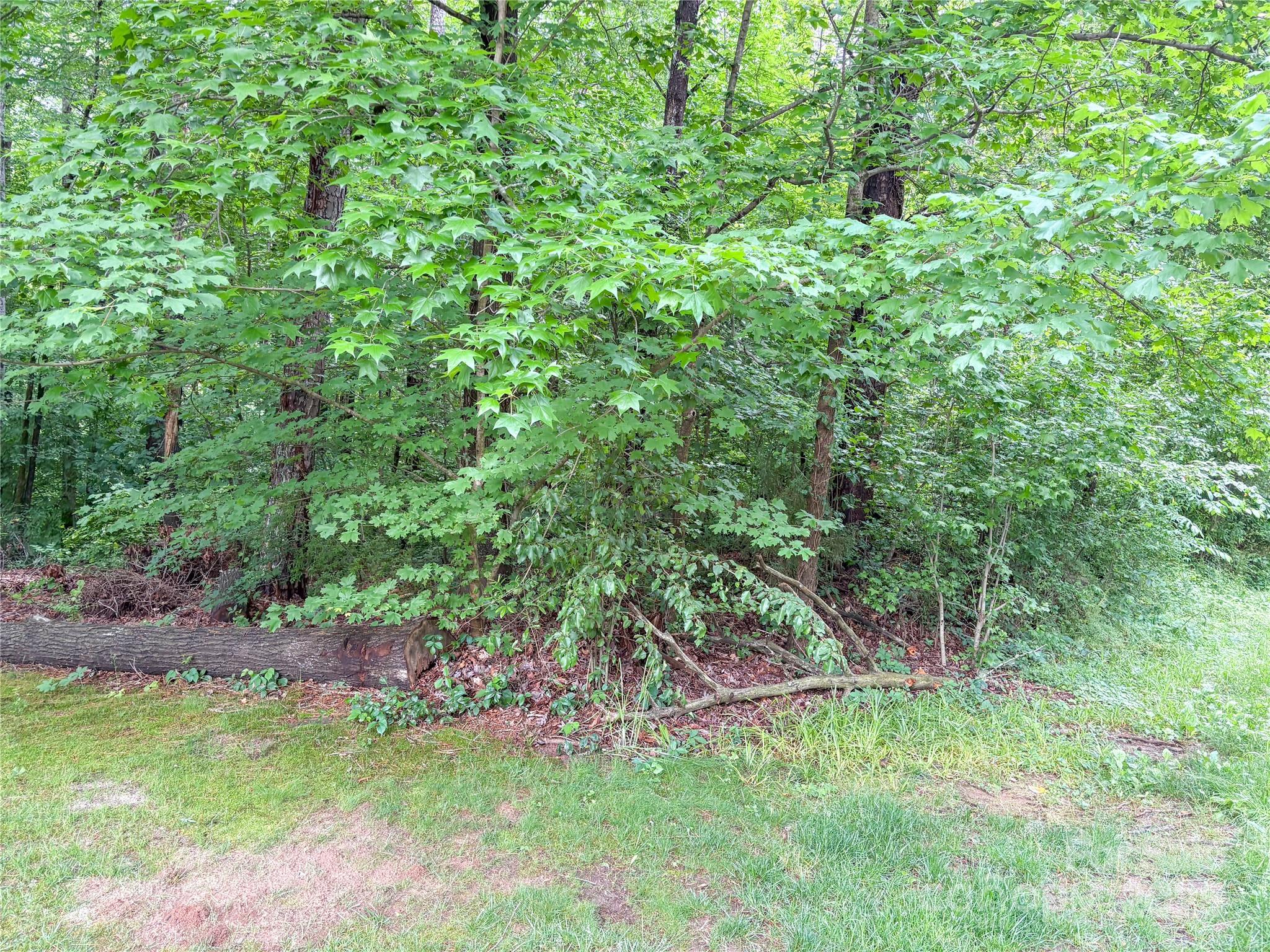 Shannon Acres - Land