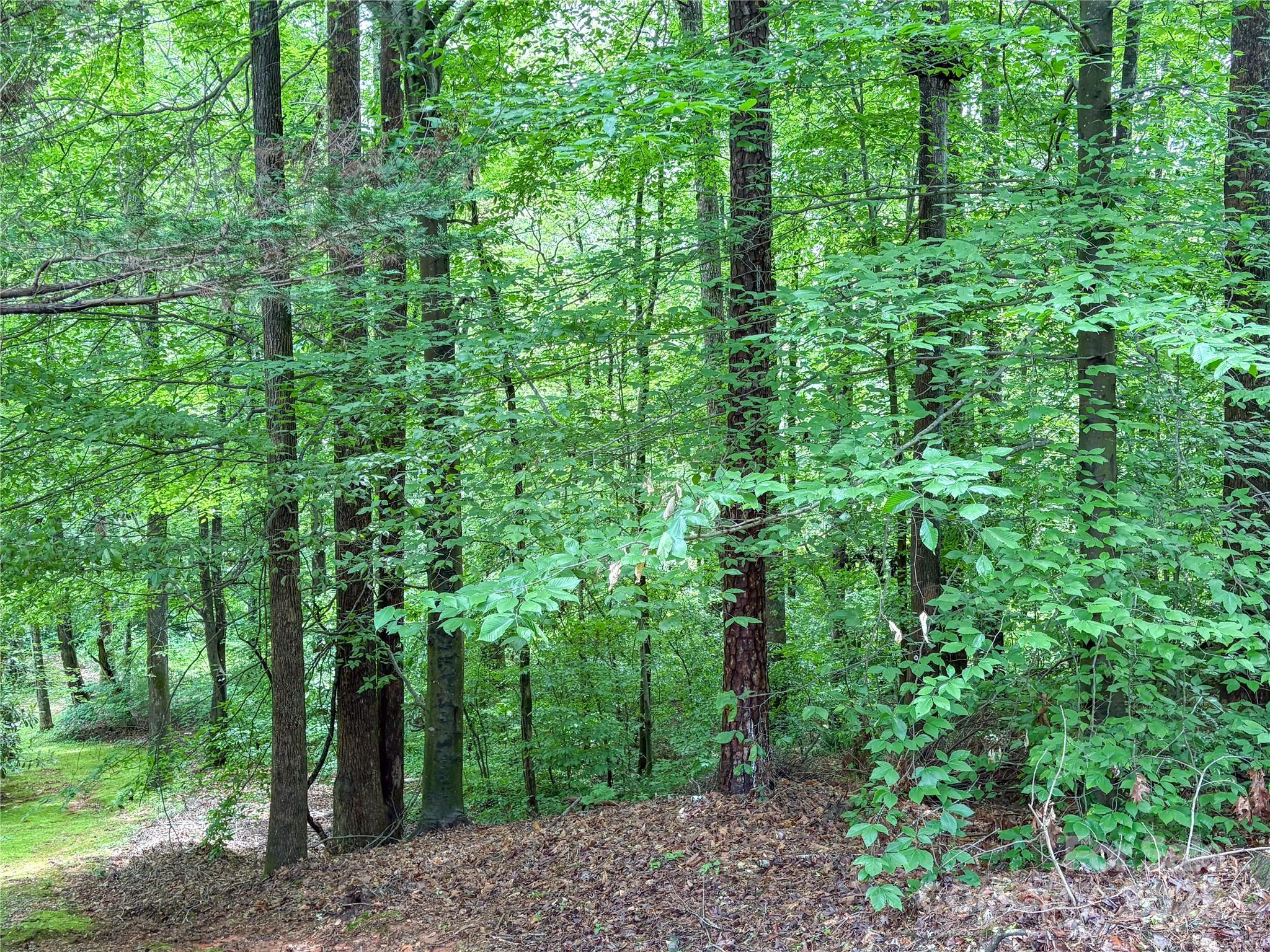 Shannon Acres - Land