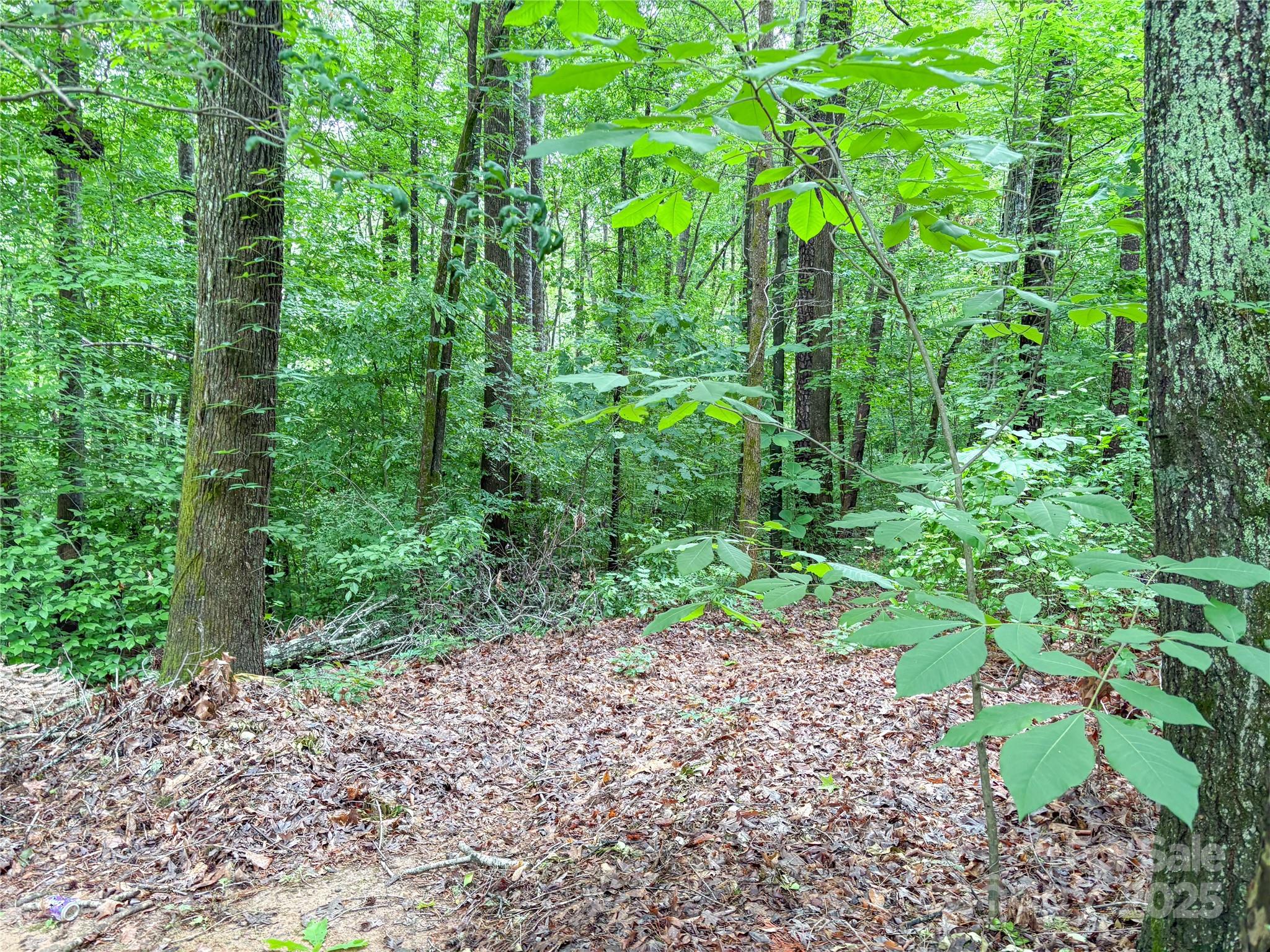 Shannon Acres - Land