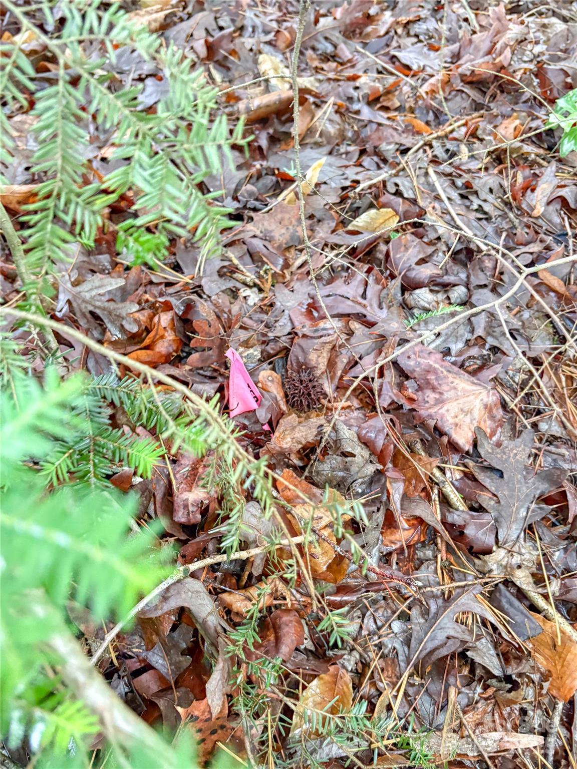 Shannon Acres - Land