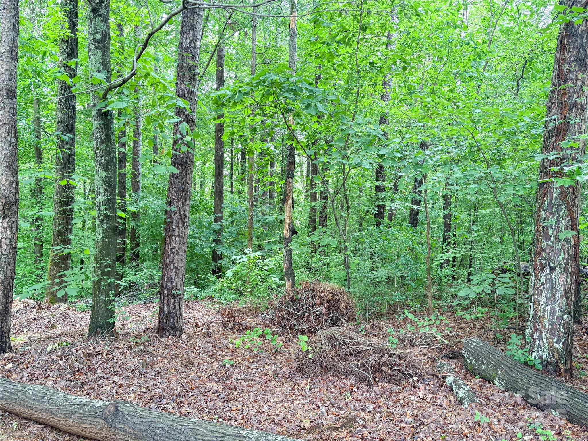 Shannon Acres - Land