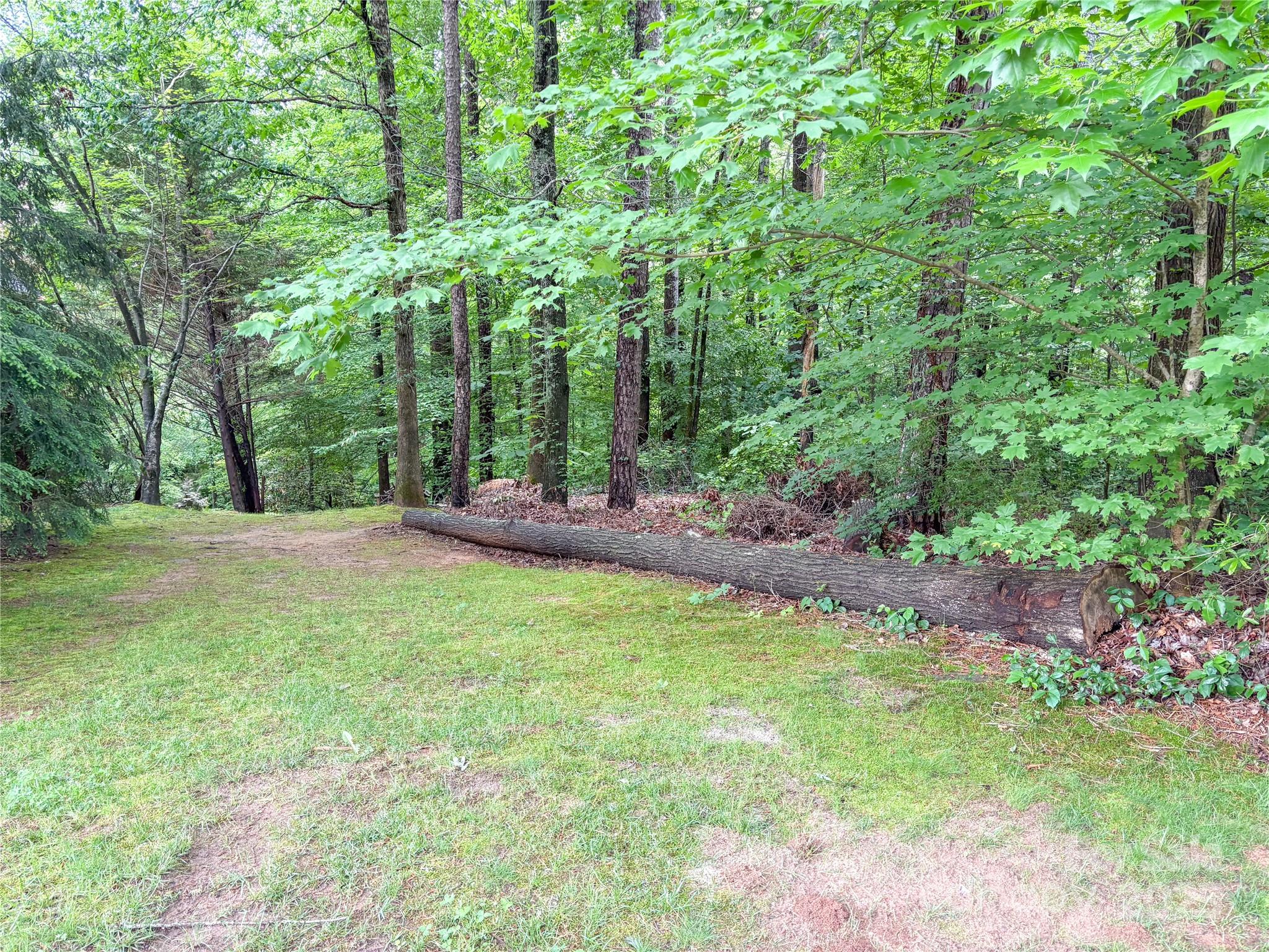 Shannon Acres - Land