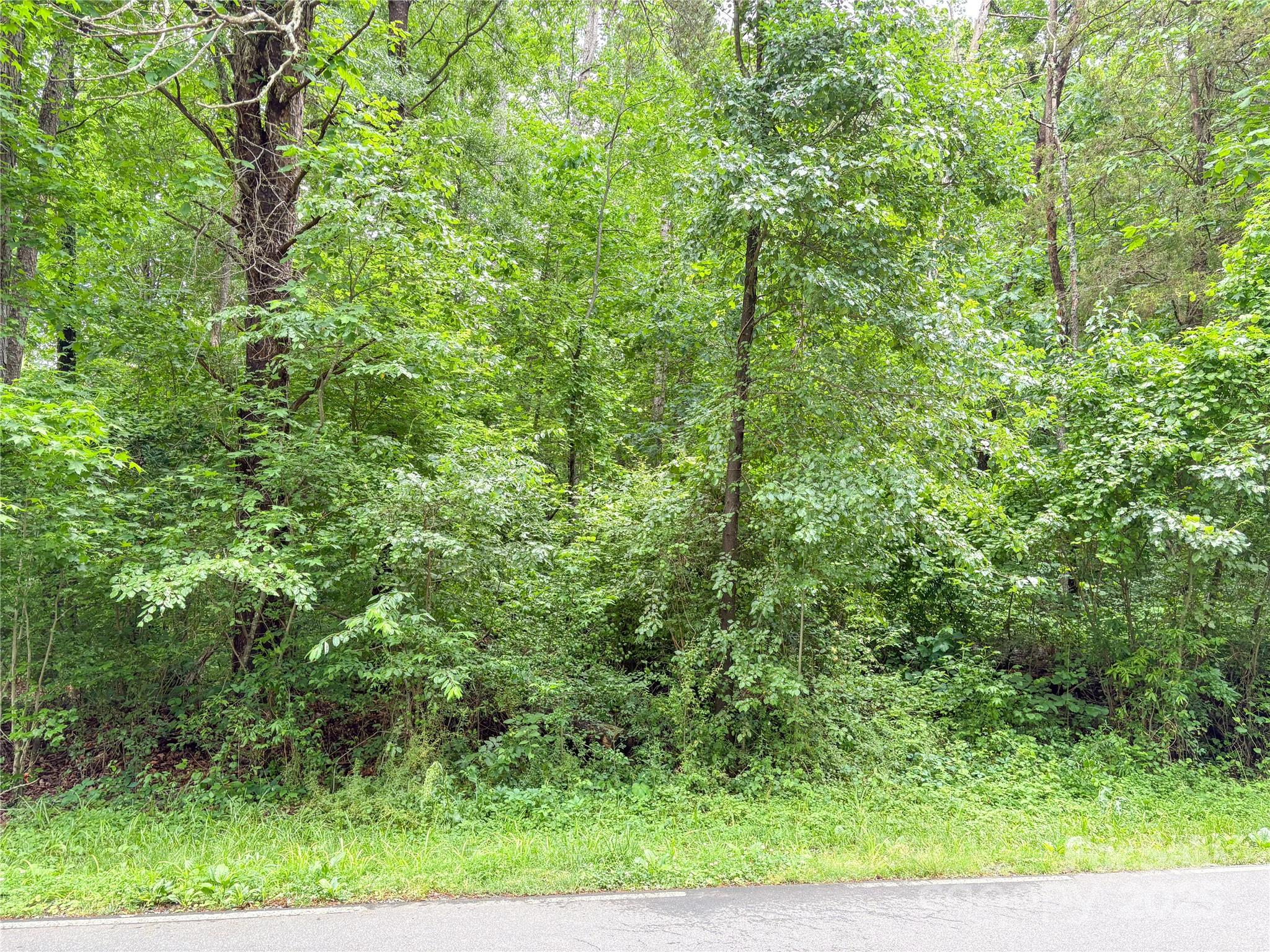 Shannon Acres - Land