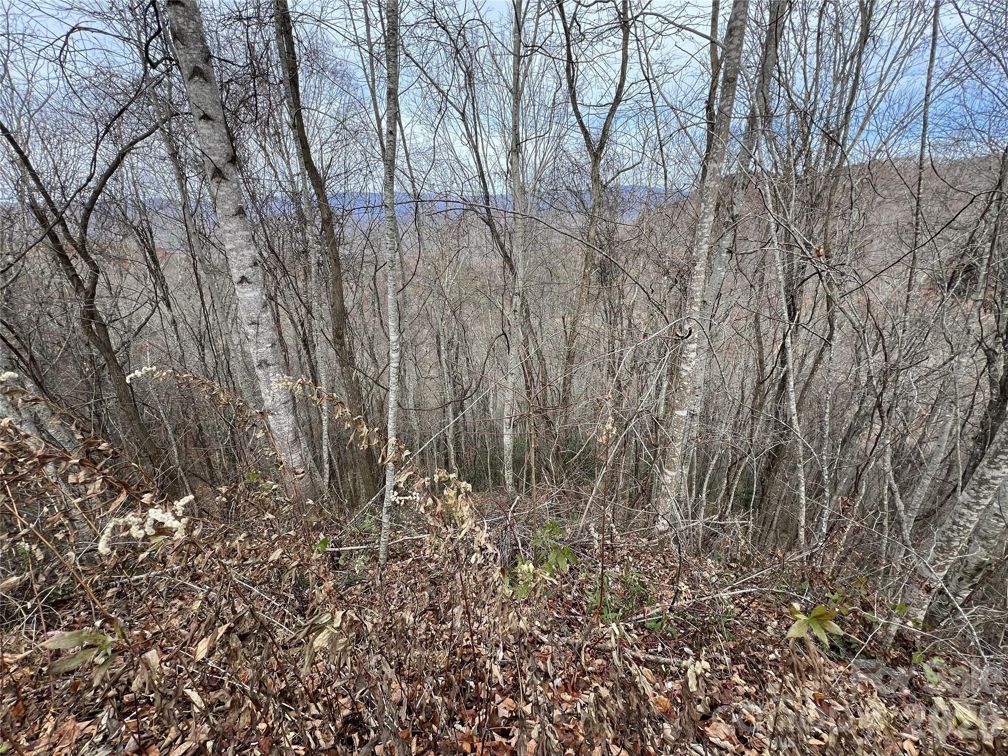 Lot 7 Deer Ridge Road